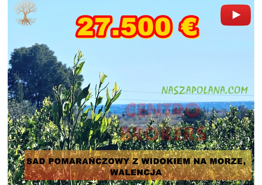 Sad pomarańczowy z widokiem na morze i góry, Walencja